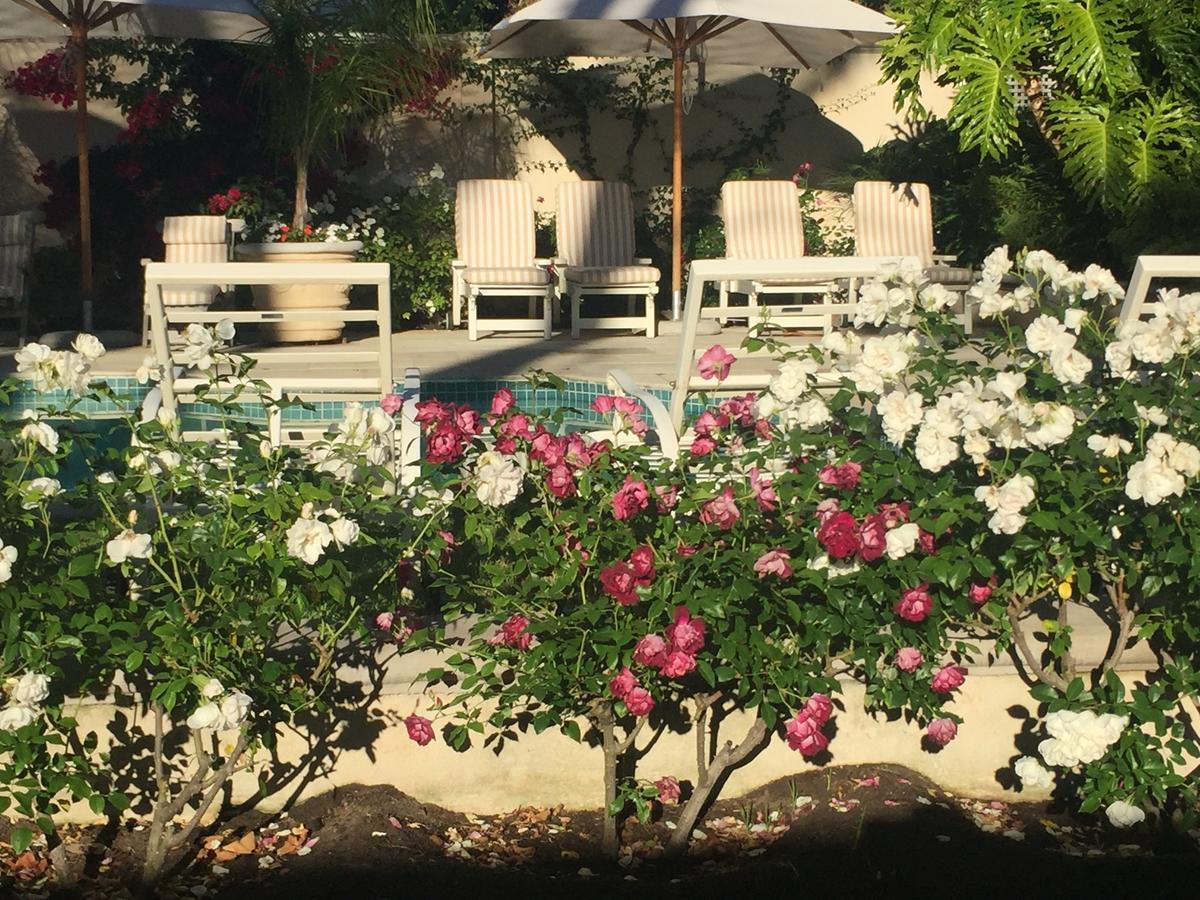 Constantia Valley Lodge Cape Town Luaran gambar