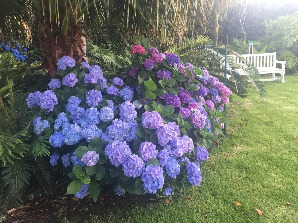 Constantia Valley Lodge Cape Town Luaran gambar